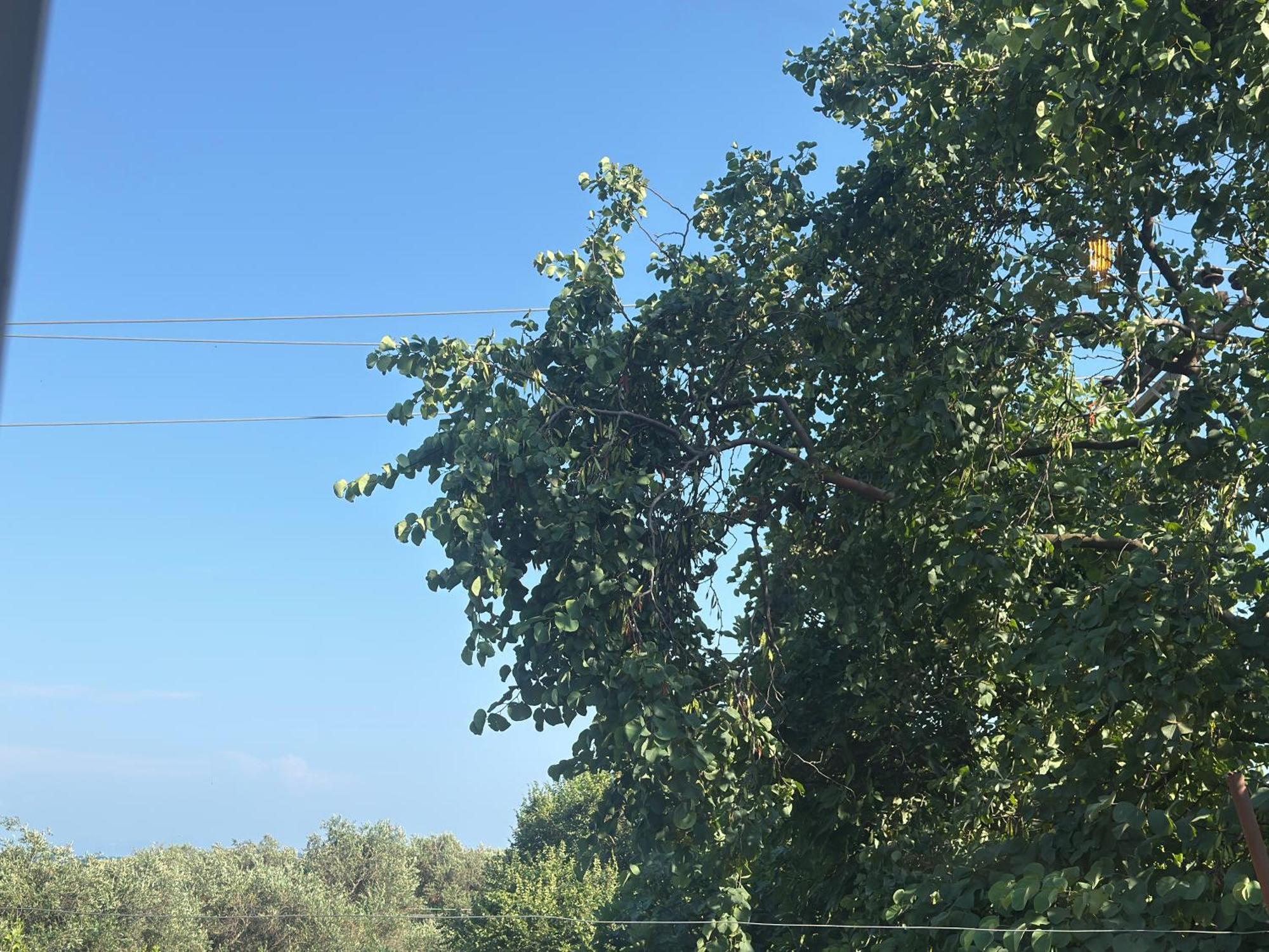 Olga's Sea View - 500m From Ipsos Pyrgi (Corfu)