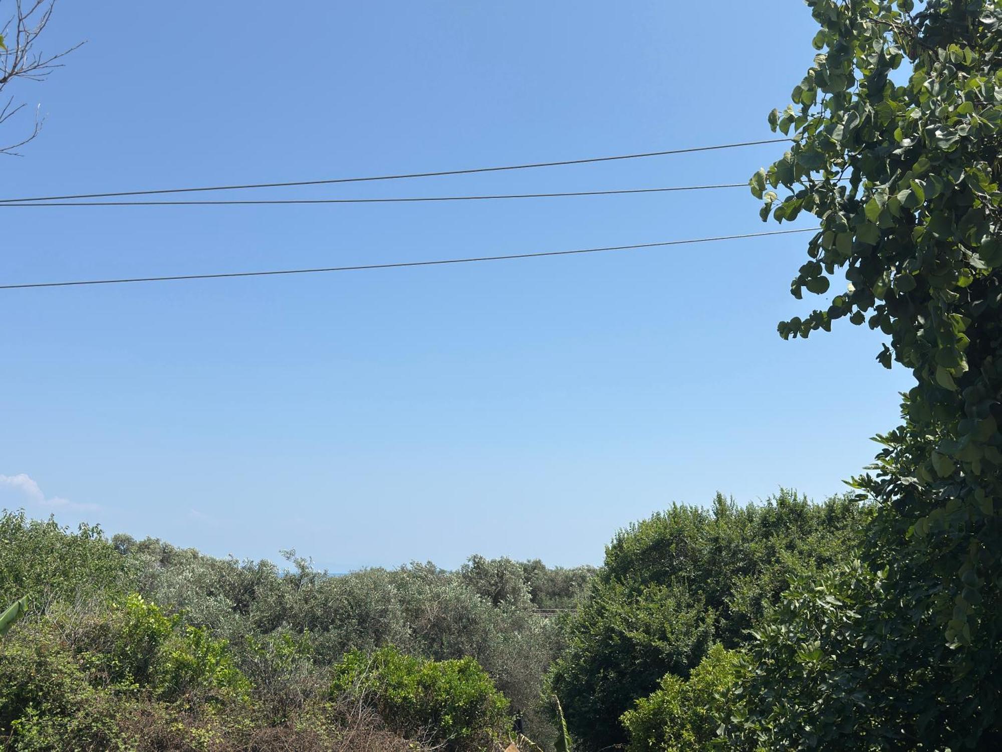 Apartment Olga's Sea View - 500m From Ipsos *