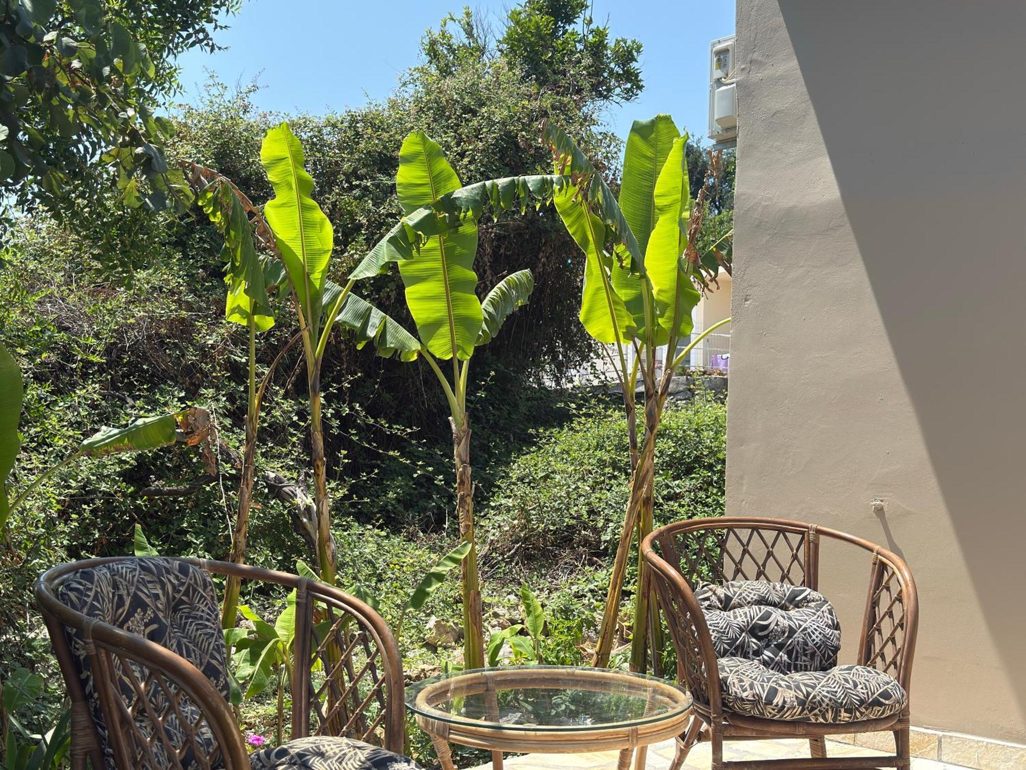 Olga's Sea View - 500m From Ipsos Apartment Pyrgi (Corfu)