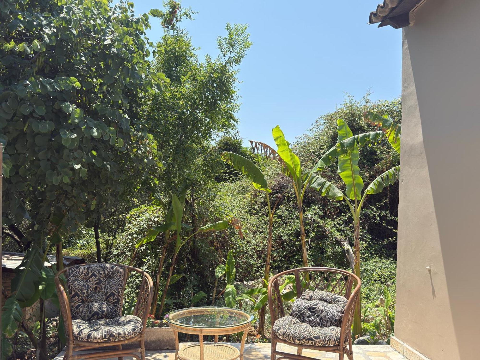Olga's Sea View - 500m From Ipsos Apartment *