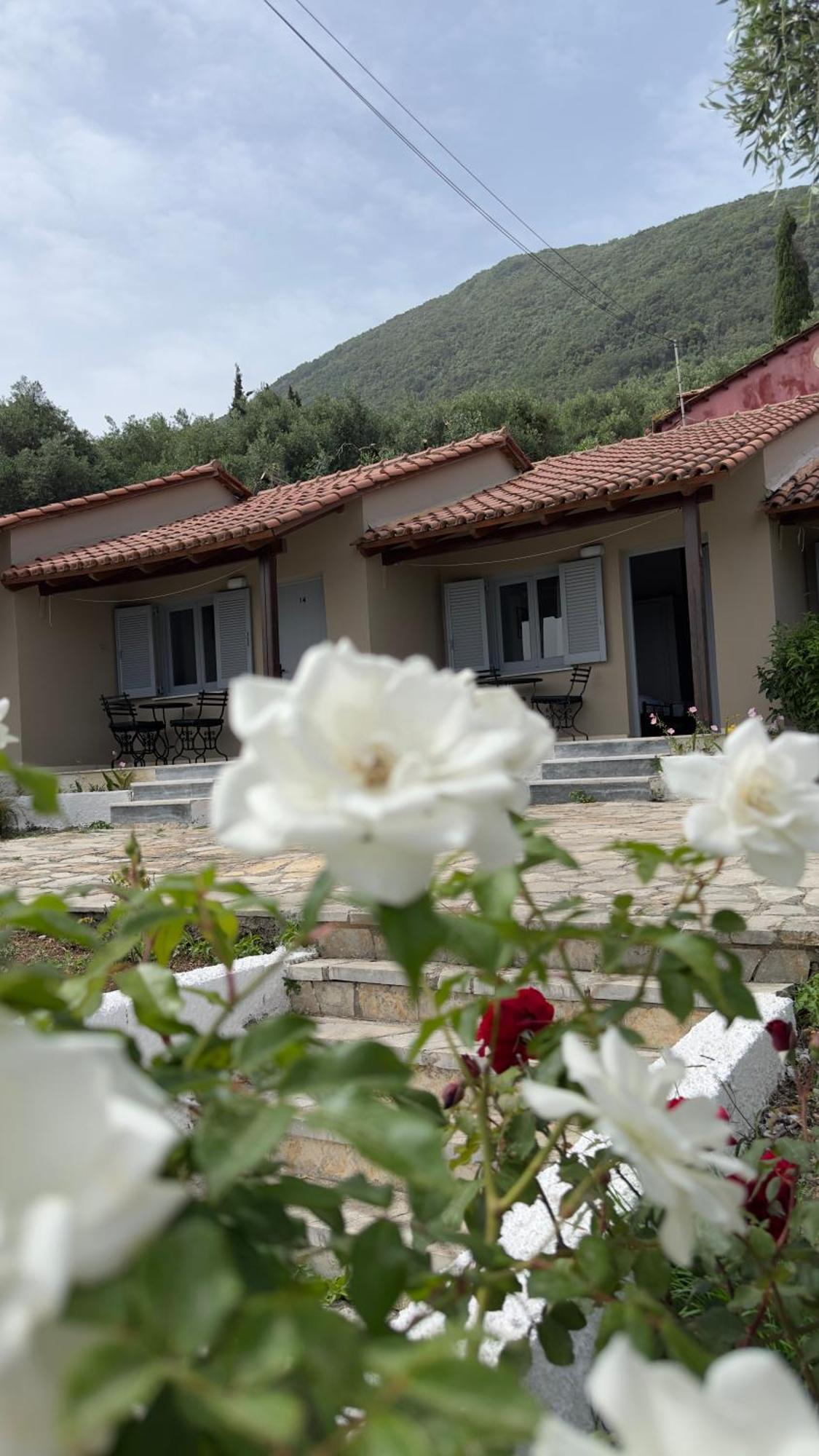 Olga's Sea View - 500m From Ipsos * Pyrgi (Corfu)